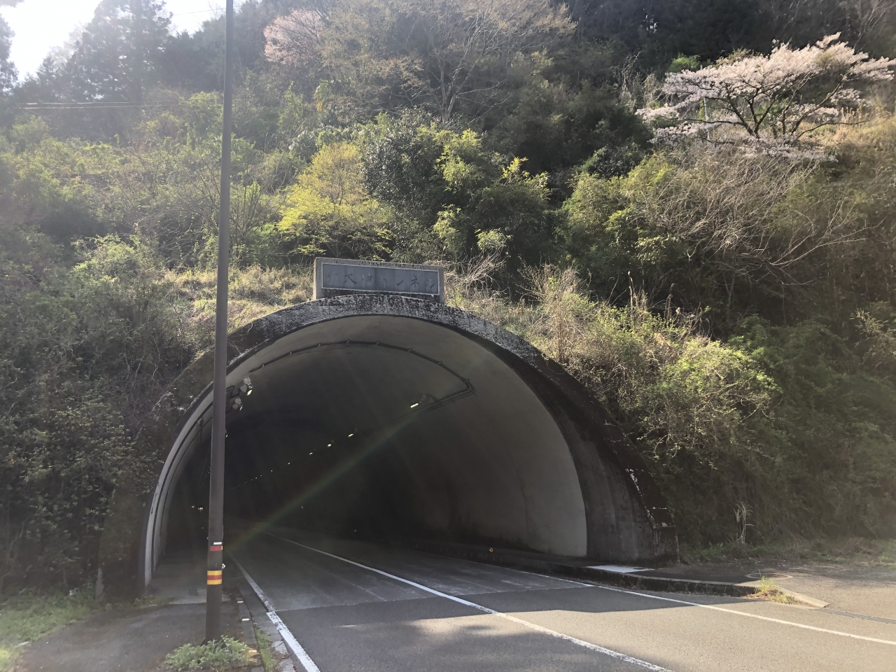 LED化工事いの町側トンネル坑口